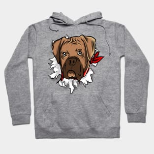 Dog Hoodie